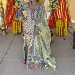 Elegant Multicolor Traditional Dress